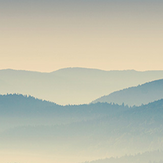 手机版ddos攻击器