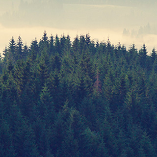 攻击网站在线工具