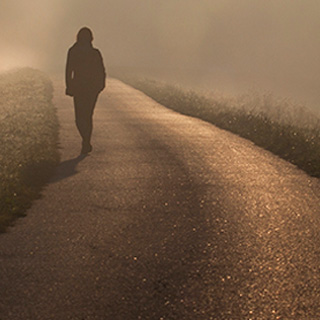 手机版ddos攻击器