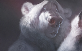 ddos攻击ip软件下载